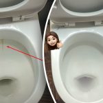 Et produkt gør din toiletkumme skinnende hvid: Sådan får du bugt med plak og snavs på 15 minutter Et produkt gør din toiletkumme skinnende hvid: Sådan får du