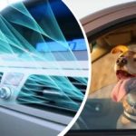 Hedebølgen rammer Ukraine: Sådan afkøler du hurtigt bilens indre uden