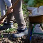 Såkalender for september 2025: Hvad skal man gøre i haven og i køkkenhaven? Såkalender for september 2025: Hvad skal man gøre i haven